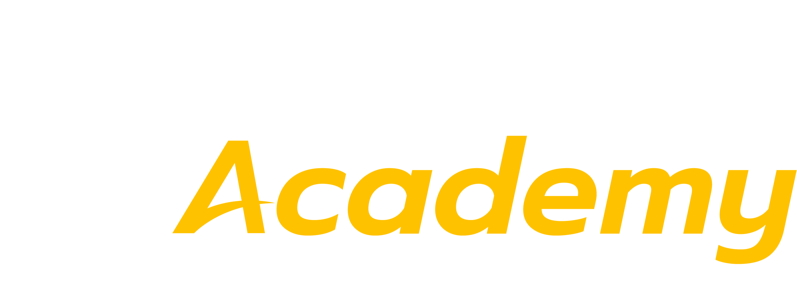 TNSCAcademy